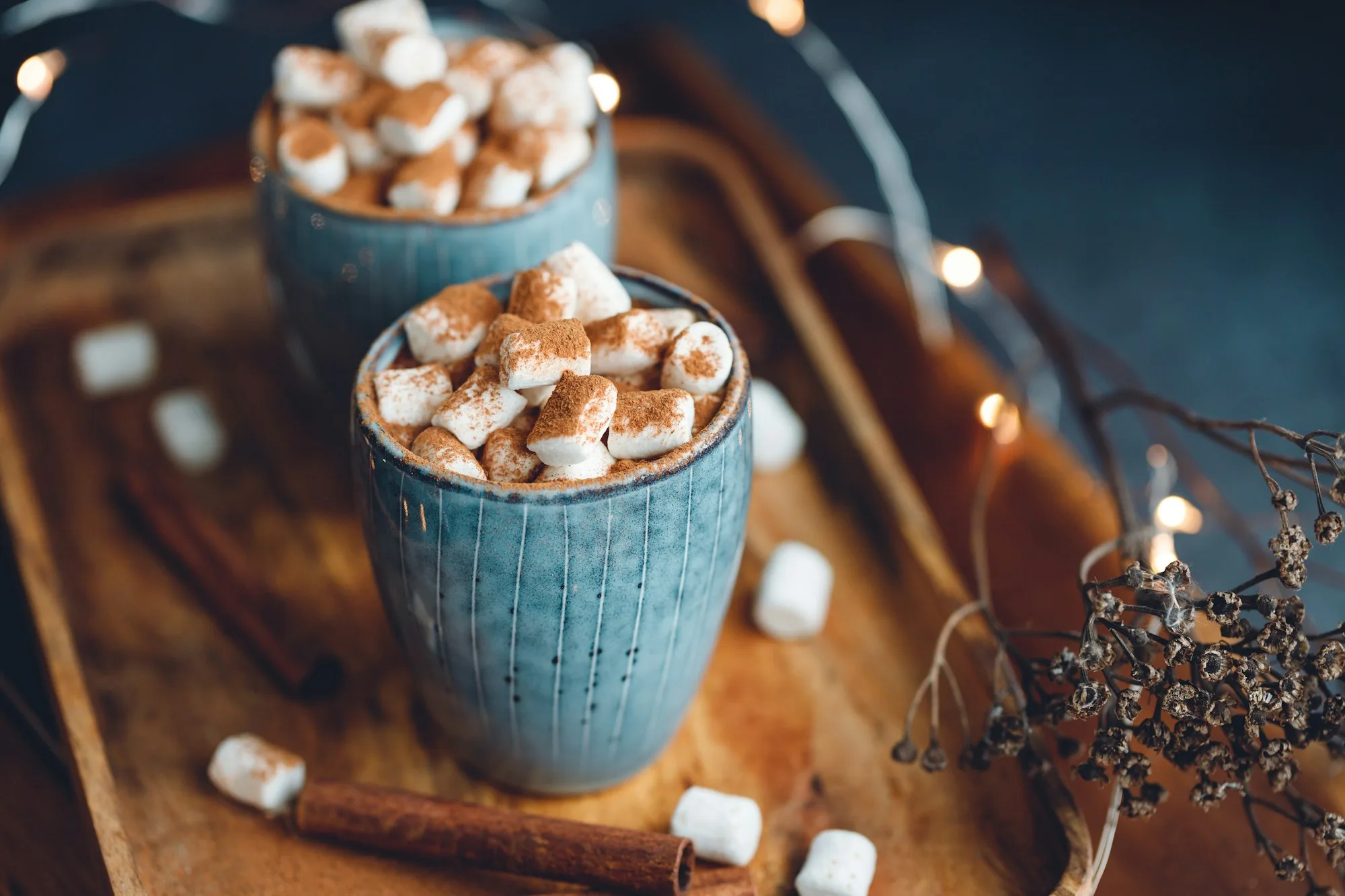 Warme chocolademelk met kaneel